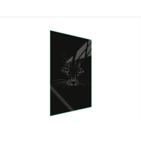 TAGLIERE IN VETRO 35x52 CAT