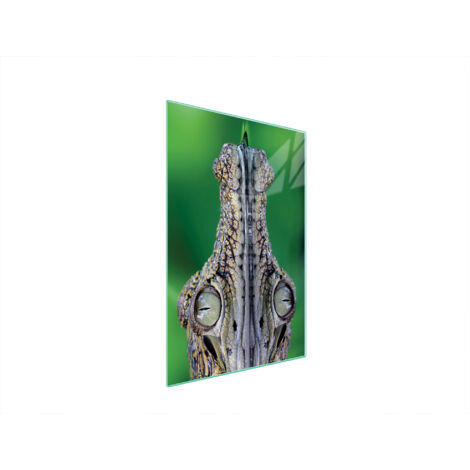 TAGLIERE IN VETRO 35x52 COCCODRILLO