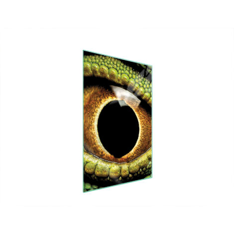 TAGLIERE IN VETRO 35x52 EYE