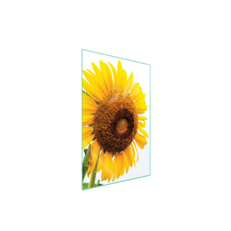 TAGLIERE IN VETRO 35x52 FIORE