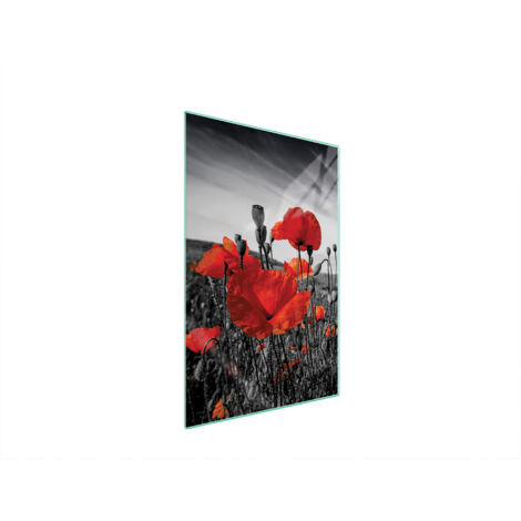TAGLIERE IN VETRO 35x52 MAKI