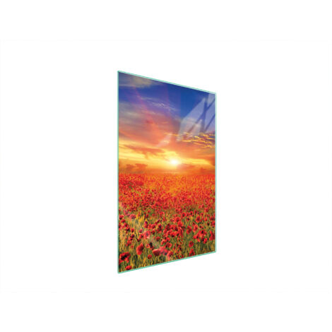 TAGLIERE IN VETRO 35x52 MAKI