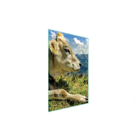 TAGLIERE IN VETRO 35x52 MUCCA