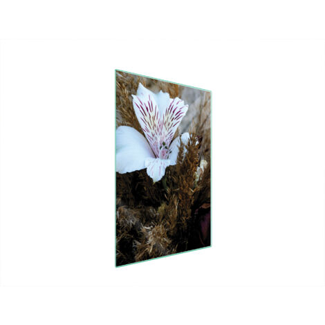 TAGLIERE IN VETRO 35x52 ORCHIDEA