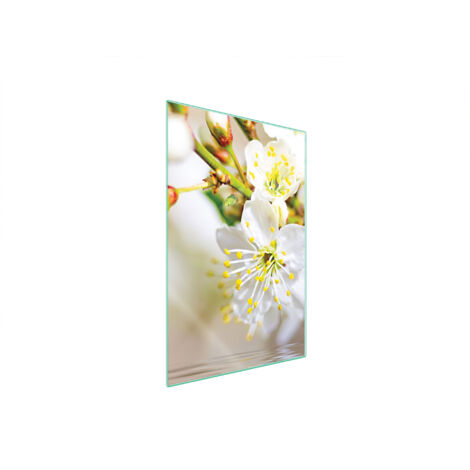TAGLIERE IN VETRO 35x52 PRUGNA