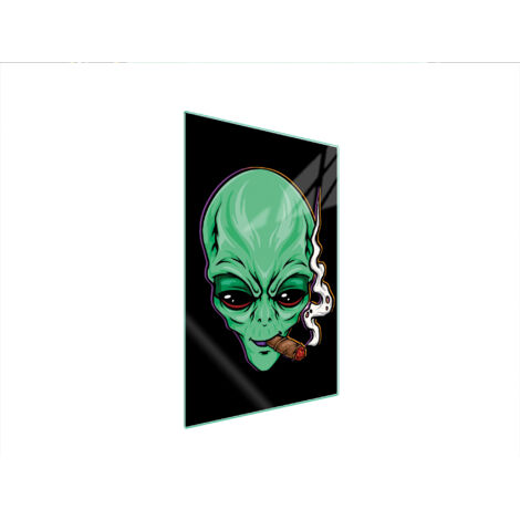 TAGLIERE IN VETRO 35x52 UFO
