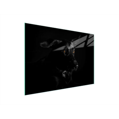 TAGLIERE IN VETRO 40x30 CANE