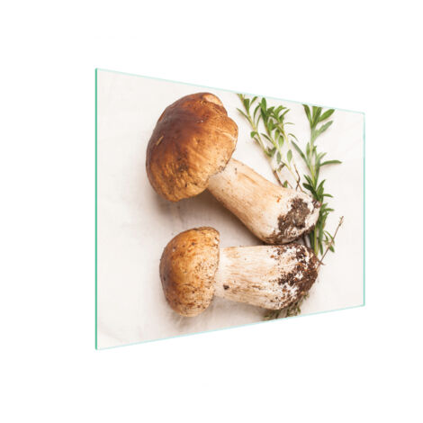 TAGLIERE IN VETRO 40x30 FUNGHI