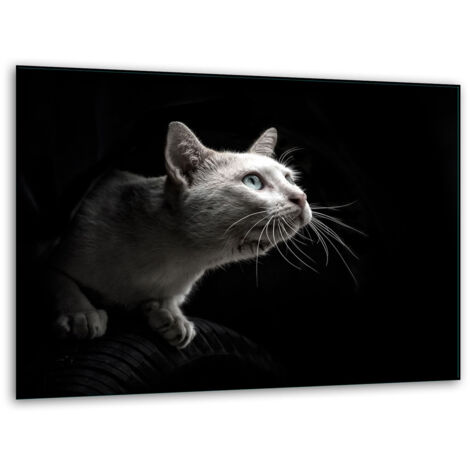 Tagliere in vetro 40x30 gatto