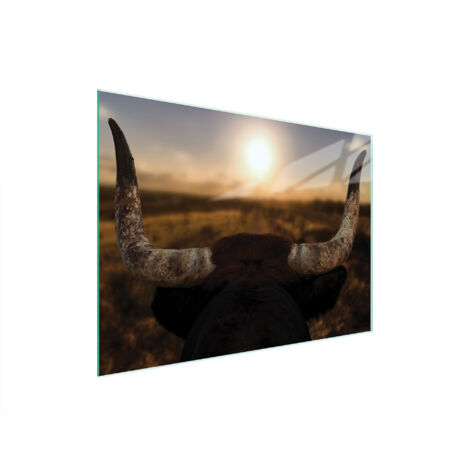 TAGLIERE IN VETRO 40x30 SOLE