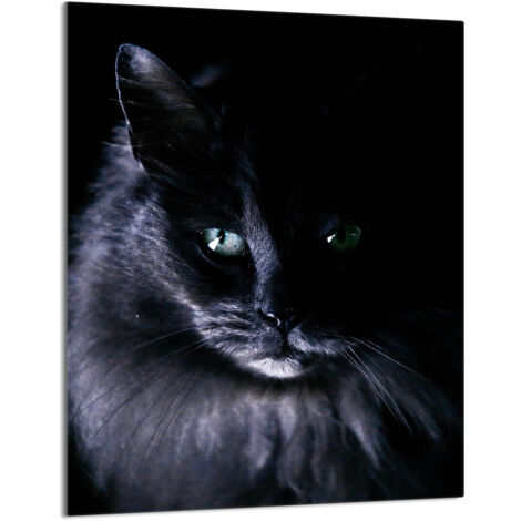 TAGLIERE IN VETRO 40x52 Cat