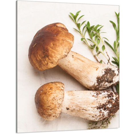 TAGLIERE IN VETRO 40x52 Funghi
