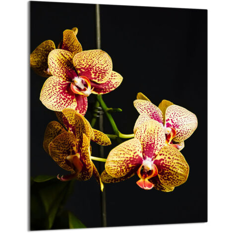 TAGLIERE IN VETRO 40x52 Orchidea