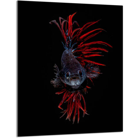 TAGLIERE IN VETRO 40x52 Pesce