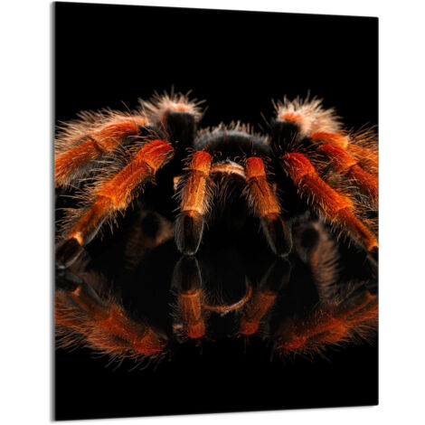 TAGLIERE IN VETRO 40x52 Spider