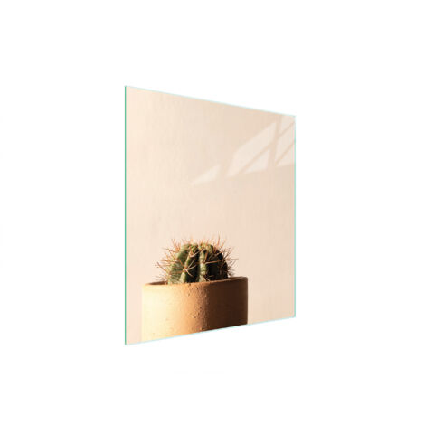 TAGLIERE IN VETRO 45x52 CACTUS