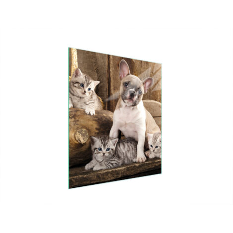 TAGLIERE IN VETRO 45x52 CANE