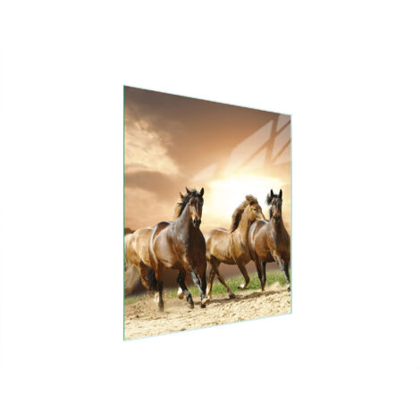 TAGLIERE IN VETRO 45x52 CAVALLI