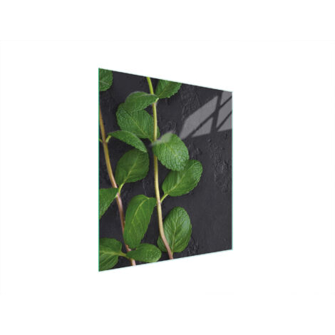 TAGLIERE IN VETRO 45x52 MENTA