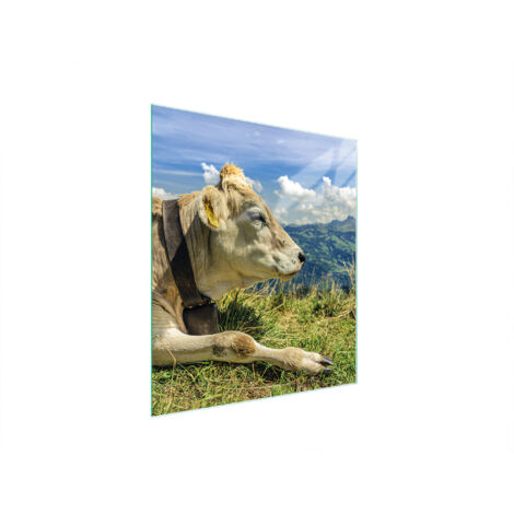 TAGLIERE IN VETRO 45x52 MUCCA