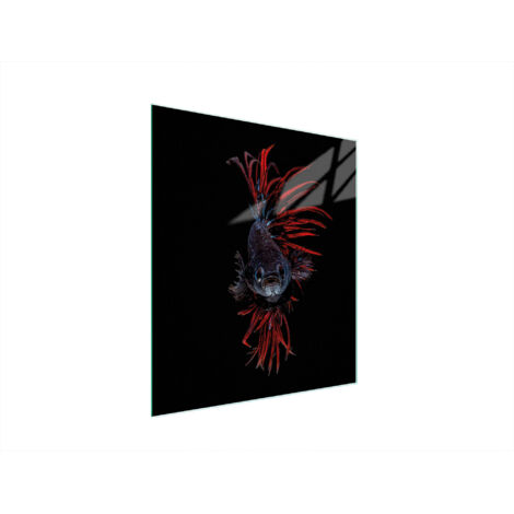 TAGLIERE IN VETRO 45x52 PESCE