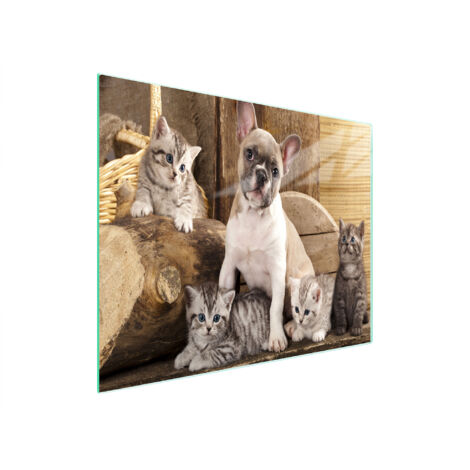 TAGLIERE IN VETRO 52x30 CANE