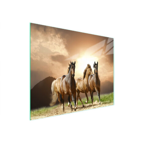TAGLIERE IN VETRO 52x30 CAVALLI
