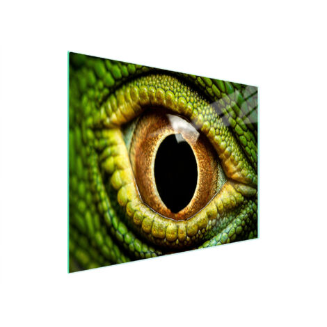 TAGLIERE IN VETRO 52x30 EYE