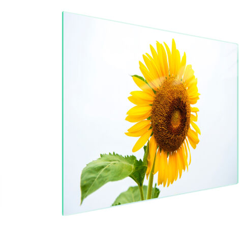 TAGLIERE IN VETRO 52x30 FIORE