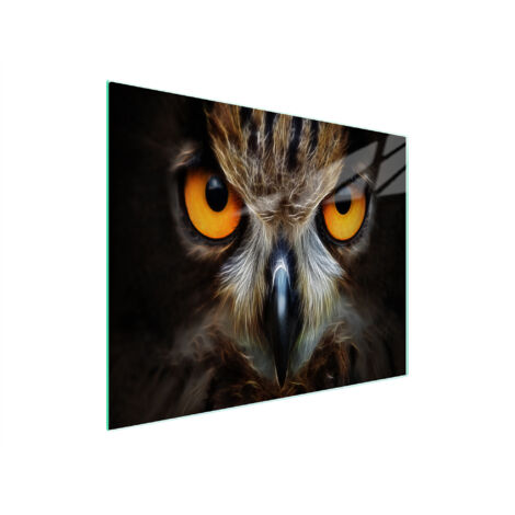 TAGLIERE IN VETRO 52x30 GUFO