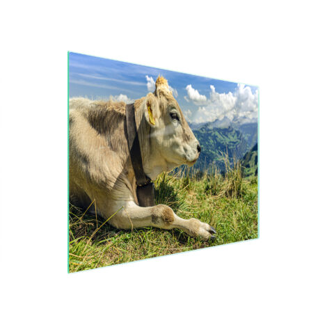 TAGLIERE IN VETRO 52x30 MUCCA