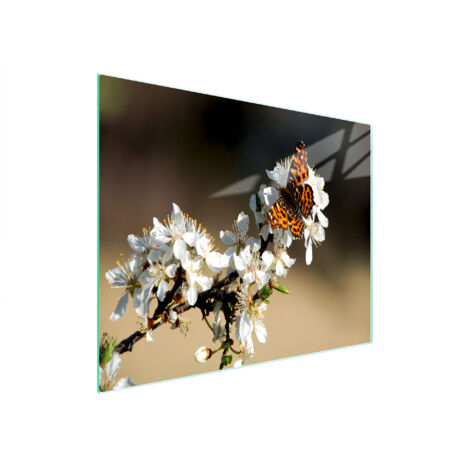 TAGLIERE IN VETRO 52x30 PRUGNA
