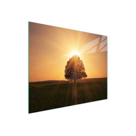 TAGLIERE IN VETRO 52x30 TREE