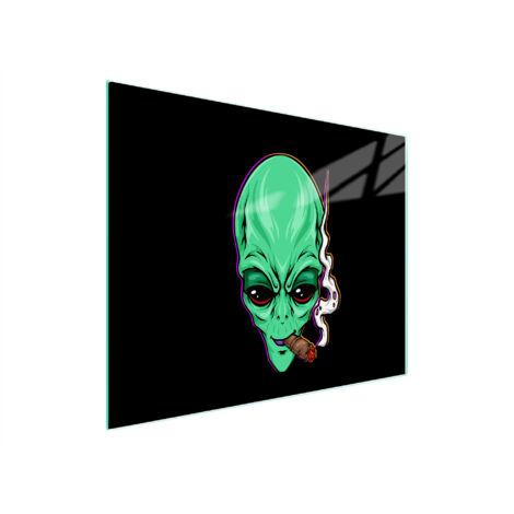 TAGLIERE IN VETRO 52x30 UFO