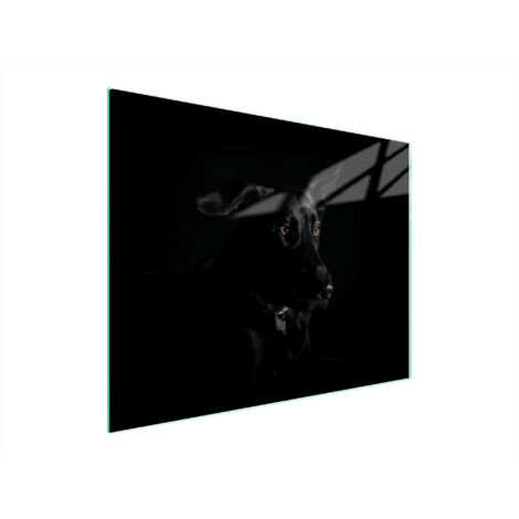 TAGLIERE IN VETRO 52x40 CANE