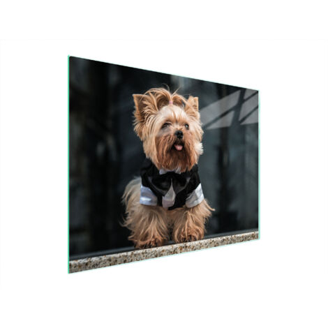 TAGLIERE IN VETRO 52x40 CANE