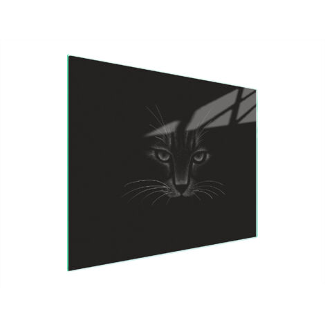TAGLIERE IN VETRO 52x40 CAT