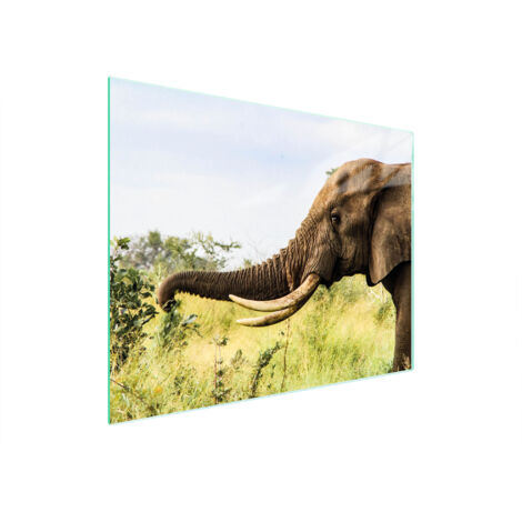 TAGLIERE IN VETRO 52x40 ELEFANTE