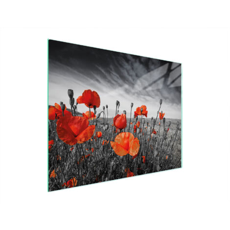TAGLIERE IN VETRO 52x40 MAKI
