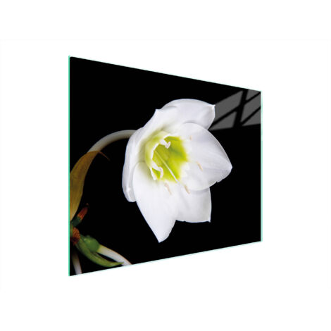 TAGLIERE IN VETRO 52x40 ORCHIDEA