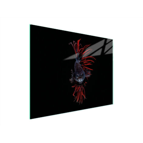 TAGLIERE IN VETRO 52x40 PESCE