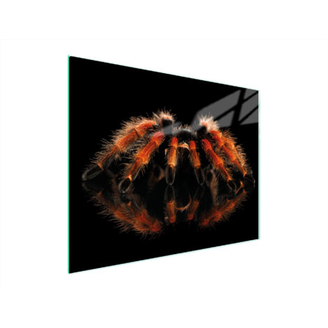TAGLIERE IN VETRO 52x40 SPIDER