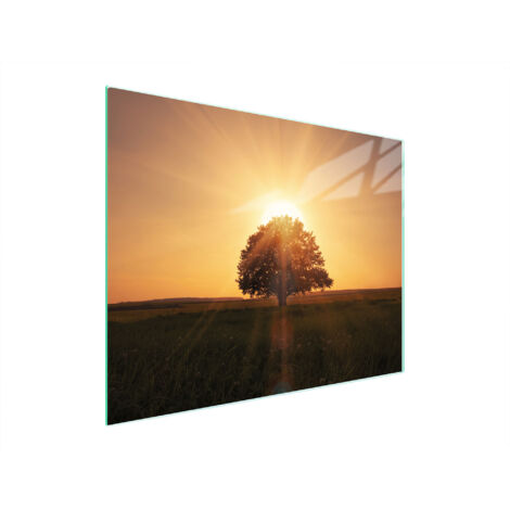 TAGLIERE IN VETRO 52x40 TREE