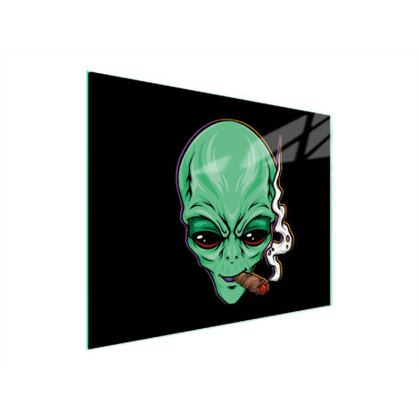 TAGLIERE IN VETRO 52x40 UFO
