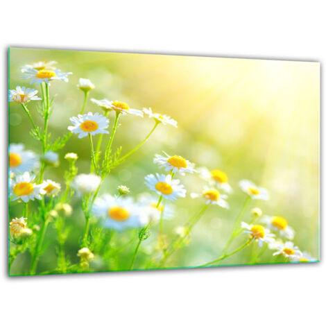 Taglio di vetro tagliere temperati 30x22 fiori