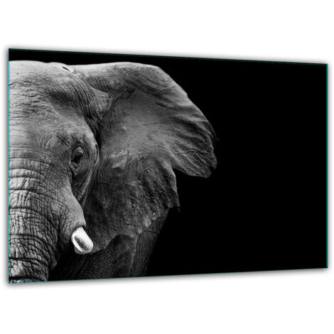 Taglio di vetro tagliere temperato 30x22 elefante