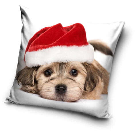 Taie d'oreiller de Noël 40x40 Velours CHIEN DE NOËL