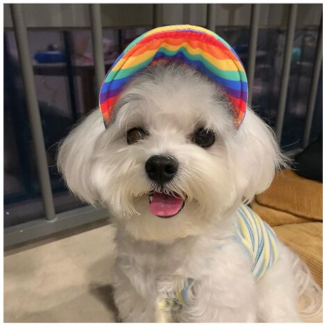 taille M Casquette Pour Chien Baseball Chapeau De Sport Pour Animaux De Compagnie Chapeau De Soleil Chapeau De Toile Rglable Pour T Sport Extrieur