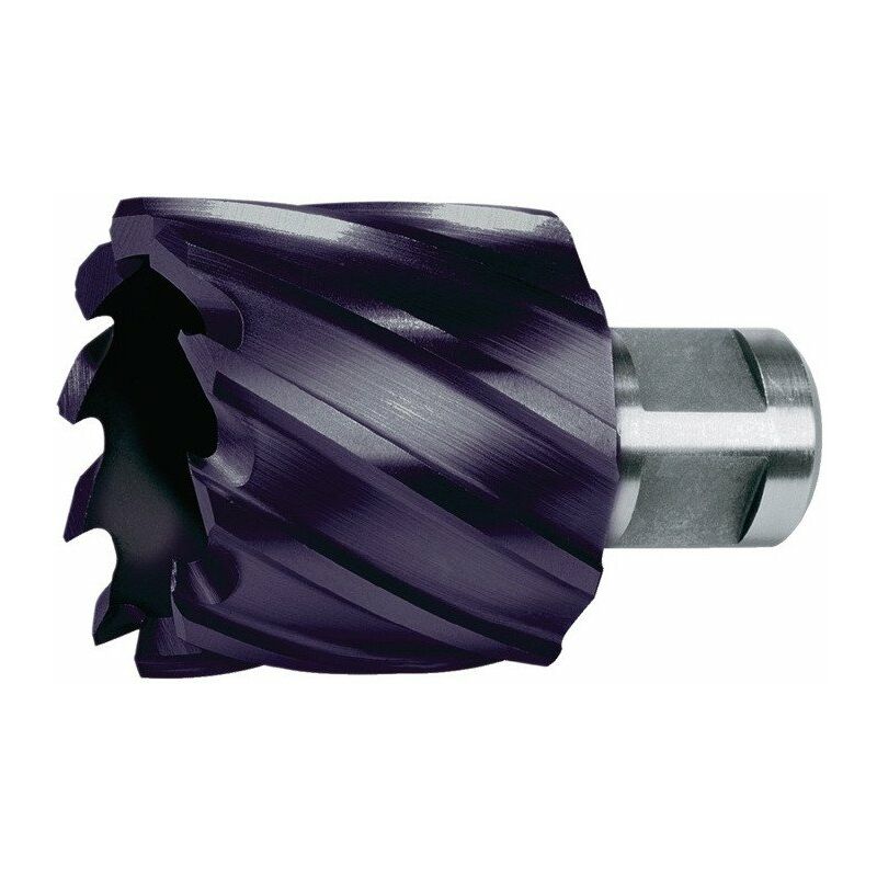 

Taladro de núcleo D.34mm HSS Recubierto de TiAlN Cut-T.30mm Weldon RUKO