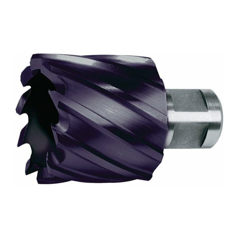 

Taladro de núcleo D.43mm HSS Recubierto de TiAlN Cut-T.30mm Weldon RUKO